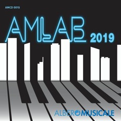 AMLAB 2019