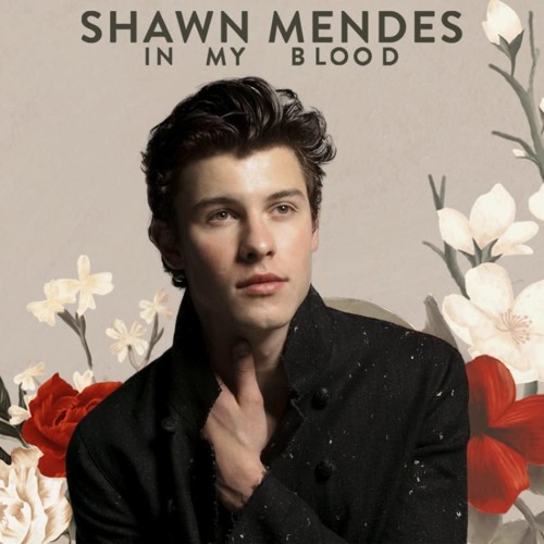 Shawn Mendes - In My Blood (Leroy Sanchez Cover) by ...