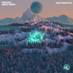 Don't Know You (with Ashley Mehta)