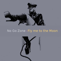 Fly Me To The Moon