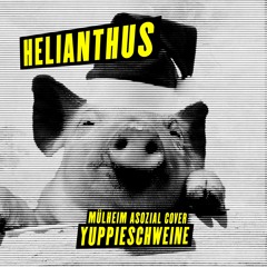 Yuppieschweine (Mülheim Asozial Cover)