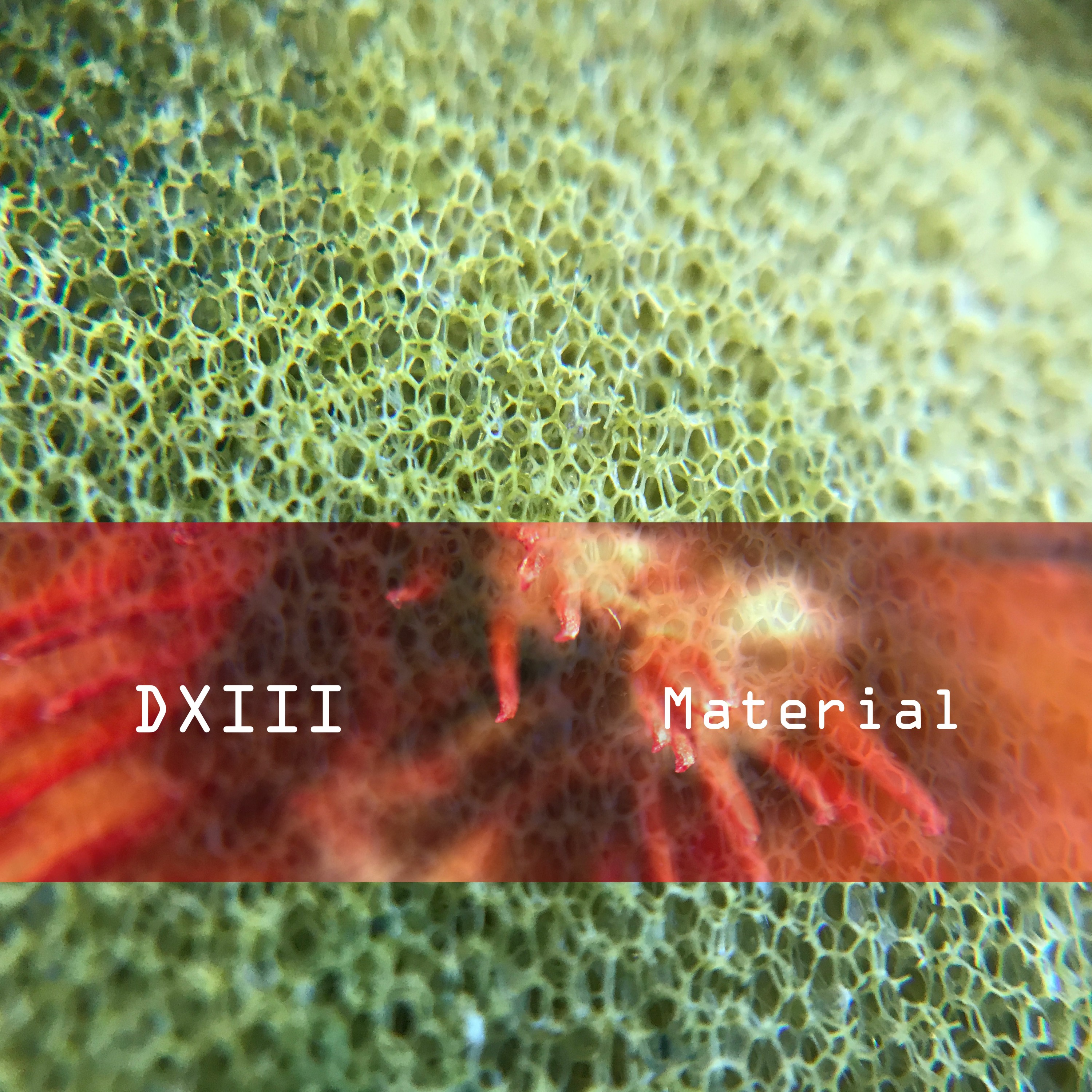 DXIII Recordings
