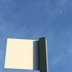 You (Carl Stone Test 2.5)