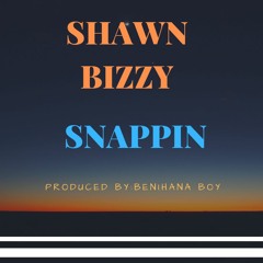 Shawn Bizzy - Snappin