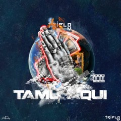 TAMU AQUi - TRIPLO M