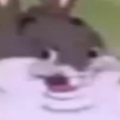 LI JUST TOOK THE WORLDS WORST FUCKING LAM EVER