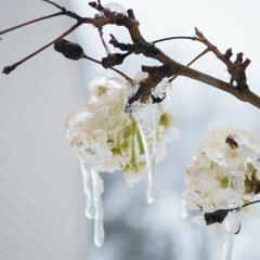 doof (prod. JSRC and CWF)