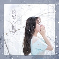 Em Thật Sự Đã Từng Yêu Anh (我是真的爱过你)- Lưu Tăng Đồng