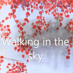 Walking in the sky (Original Mix)  Free download
