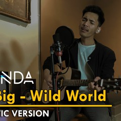 Mr. Big - Wild World