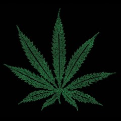 LIES (Freestyle)