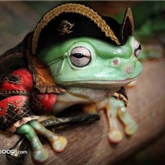 Me Frog's At Sea