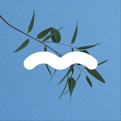 Road To: Beyond The Valley 2019