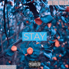 STAY RudyRuler