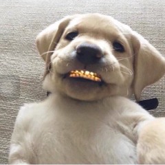 goldlink - u say (edit)