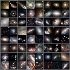 369
