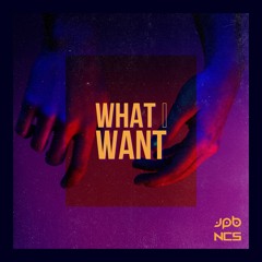 JPB - What I Want [NCS Release]