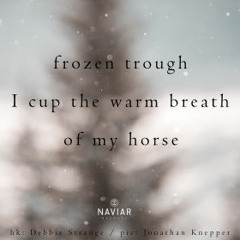 Peaks & Troughs [naviarhaiku312 - frozen trough]