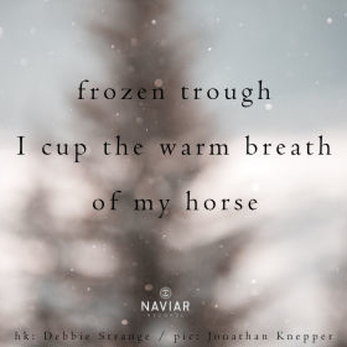Peaks & Troughs [naviarhaiku312 - frozen trough]