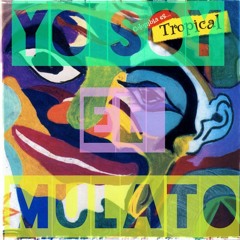 YO SOY EL MULATO//LOS HERMANOS MORTELO(original rmx)