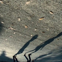 KNIGHT OF CUPS FARFALLA Jochem Weierink