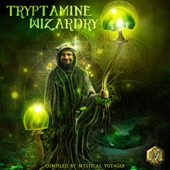 Ancient Masters - Swamp Trail (released on VA TRYPTAMINE WIZARDRY, by Visionary Shamanics Records)
