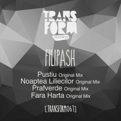 Filipash - Fara Harta  (Original Mix)