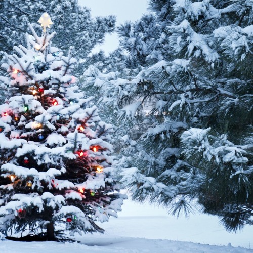 December 2019 Mix {Crimbo Special}