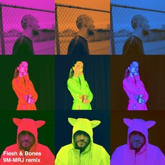 The Subs & Tsar B - Flesh & Bones (9M-MRJ Remix)