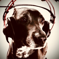 Them Damn Bootlegs Pt 2