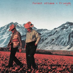 summerteeth (+ michael) (wilco cover)