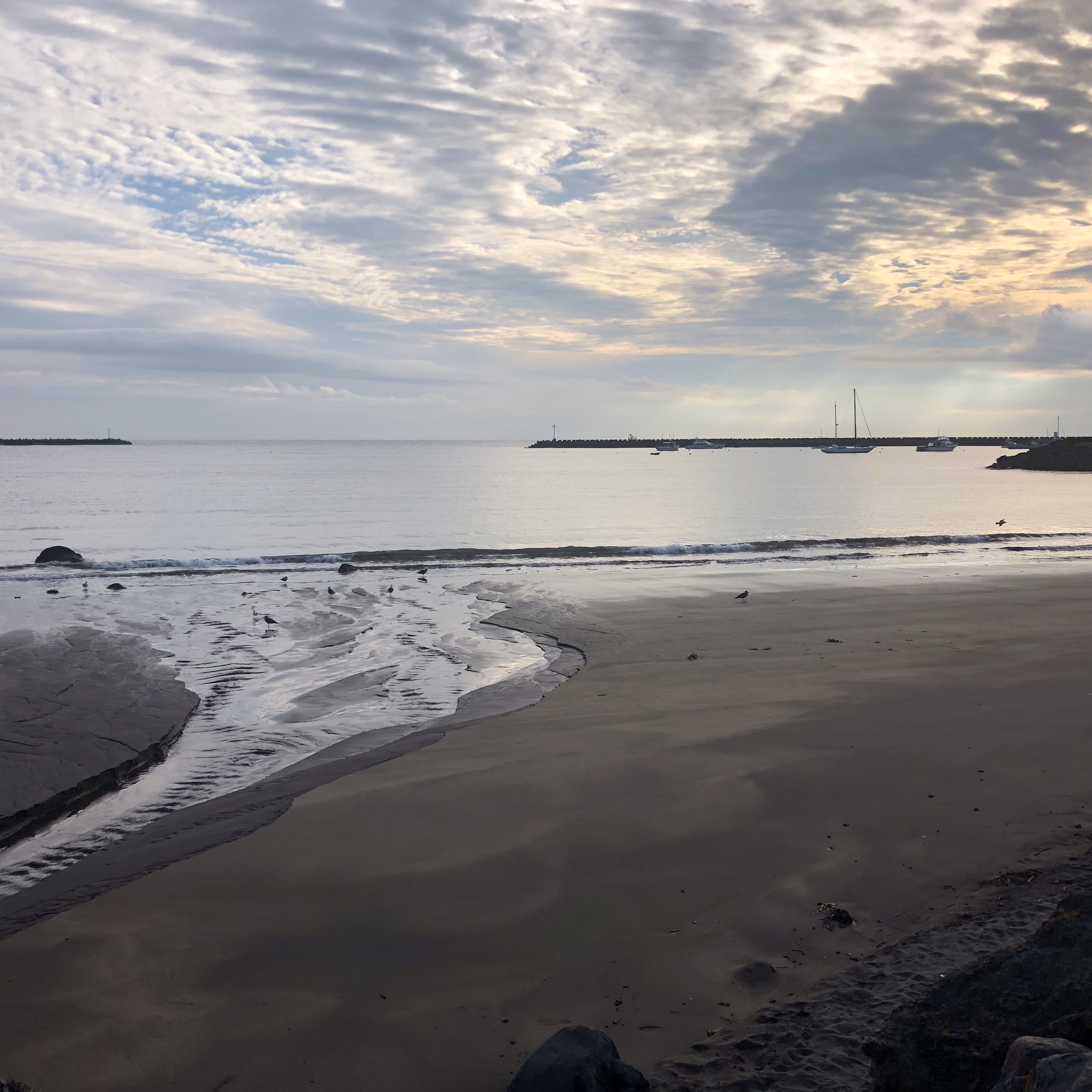 S3 E1 Interconnected with Danny Hill