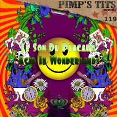 Le Son Du Placard - Acid In Wonderlands (Original Mix) [Pimp's Tits Records ]