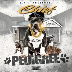 Chief Pedigree