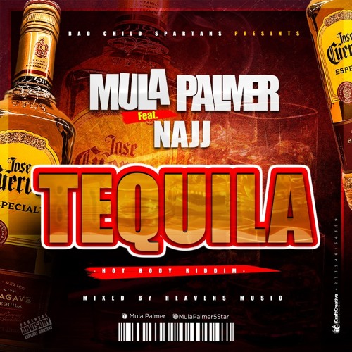 Mula Palmer Ft Najj - Tequila ( mastered by heavens music)