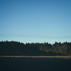 YACHIMATA_191229