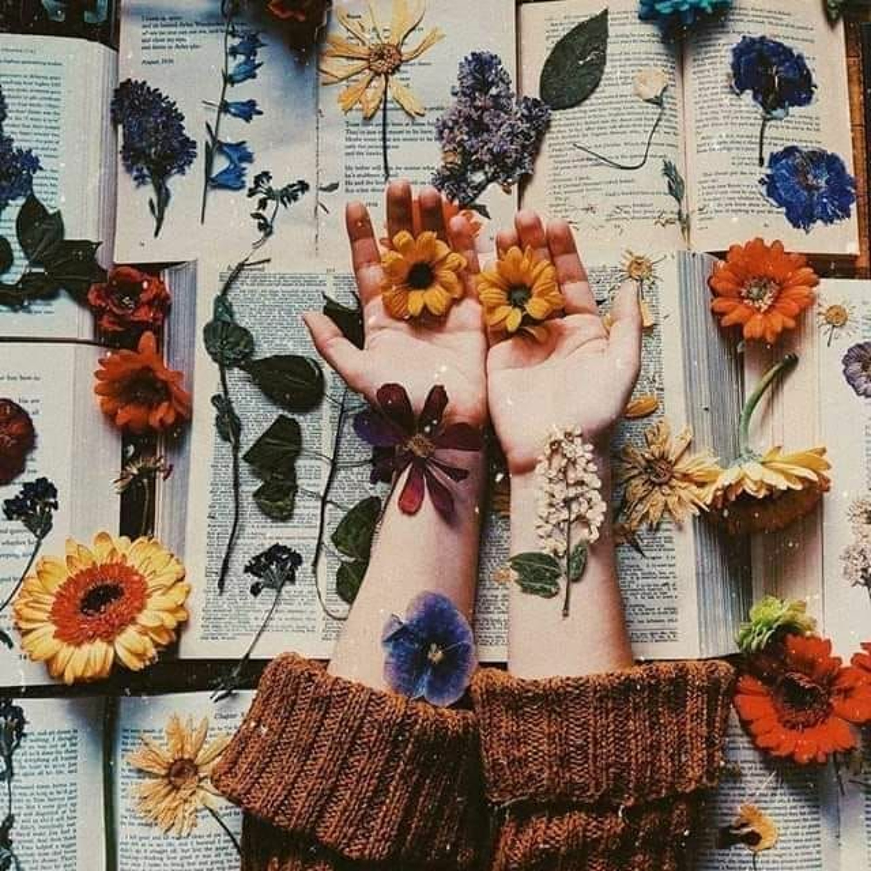 Samah A. Safwat
