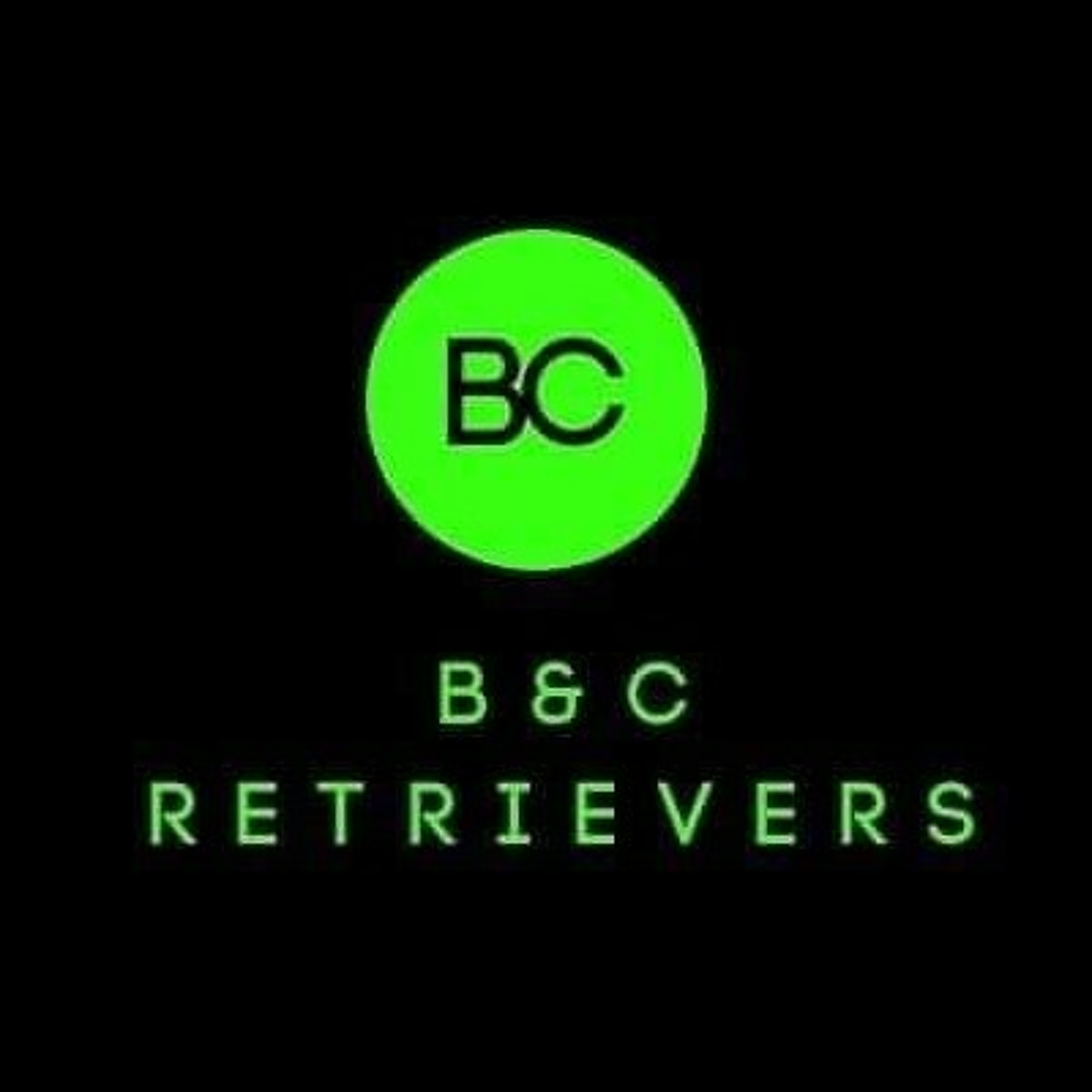 Episode 46: Here's to a New Year! Episode 46: Here's to a New Year!