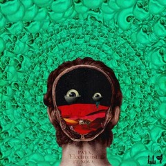 Paya Ft Nova (Paydar)- Electronist