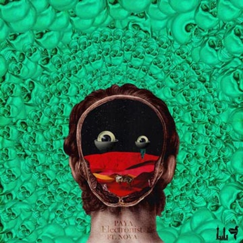 Paya Ft Nova (Paydar)- Electronist