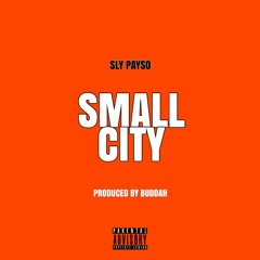 Small City
