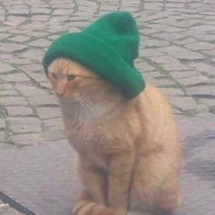 RIDDIMM4