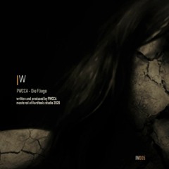 PWCCA - Die Fliege (IW005) out !