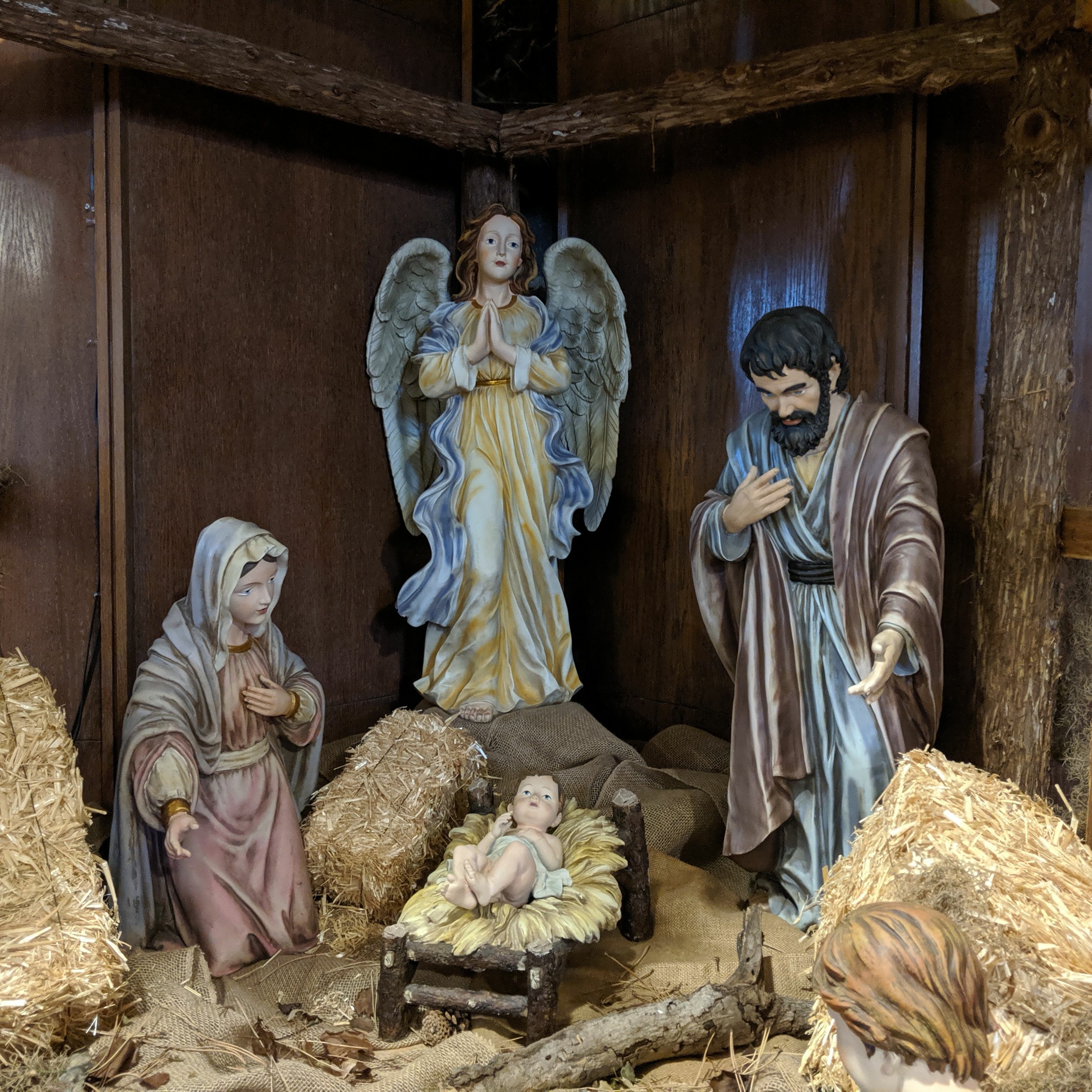 Was Mary a Good Cook? (Holy Family Homily) episode artwork