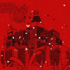 VKIE - BEEP BEEP FT ZIBEX, KOSIOR