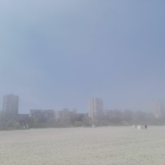 always make sure that your ideas fail