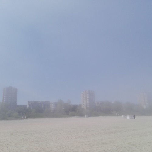 always make sure that your ideas fail