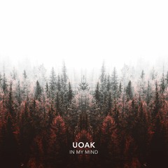UOAK - In My Mind