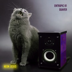 Entropic 81 - "Quaver"