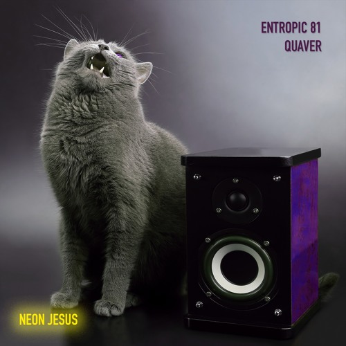 Entropic 81 - "Quaver"